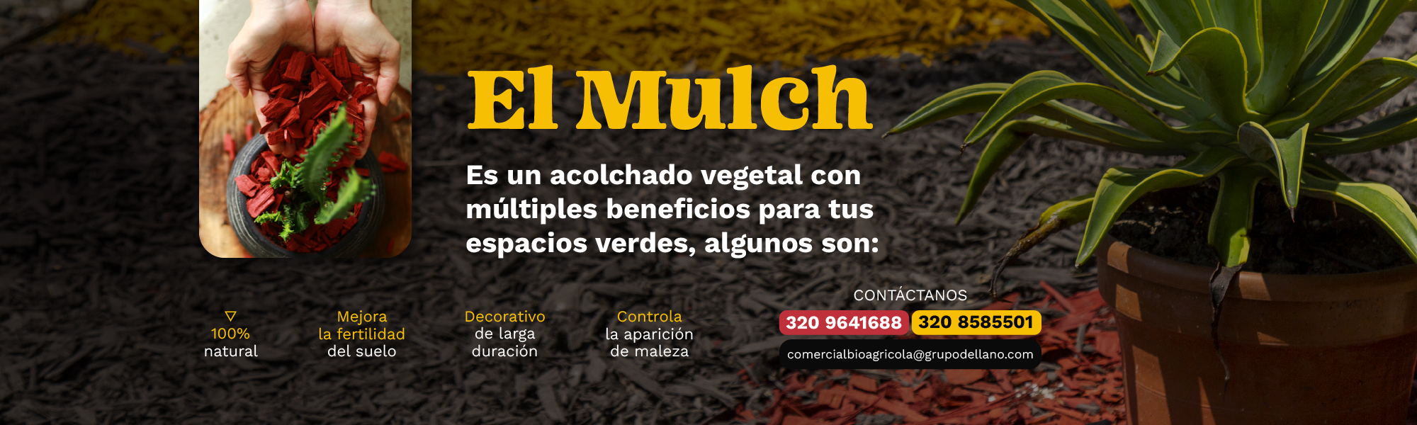 El Mulch es un acolchado vegetal con multiples beneficios para tus plantas