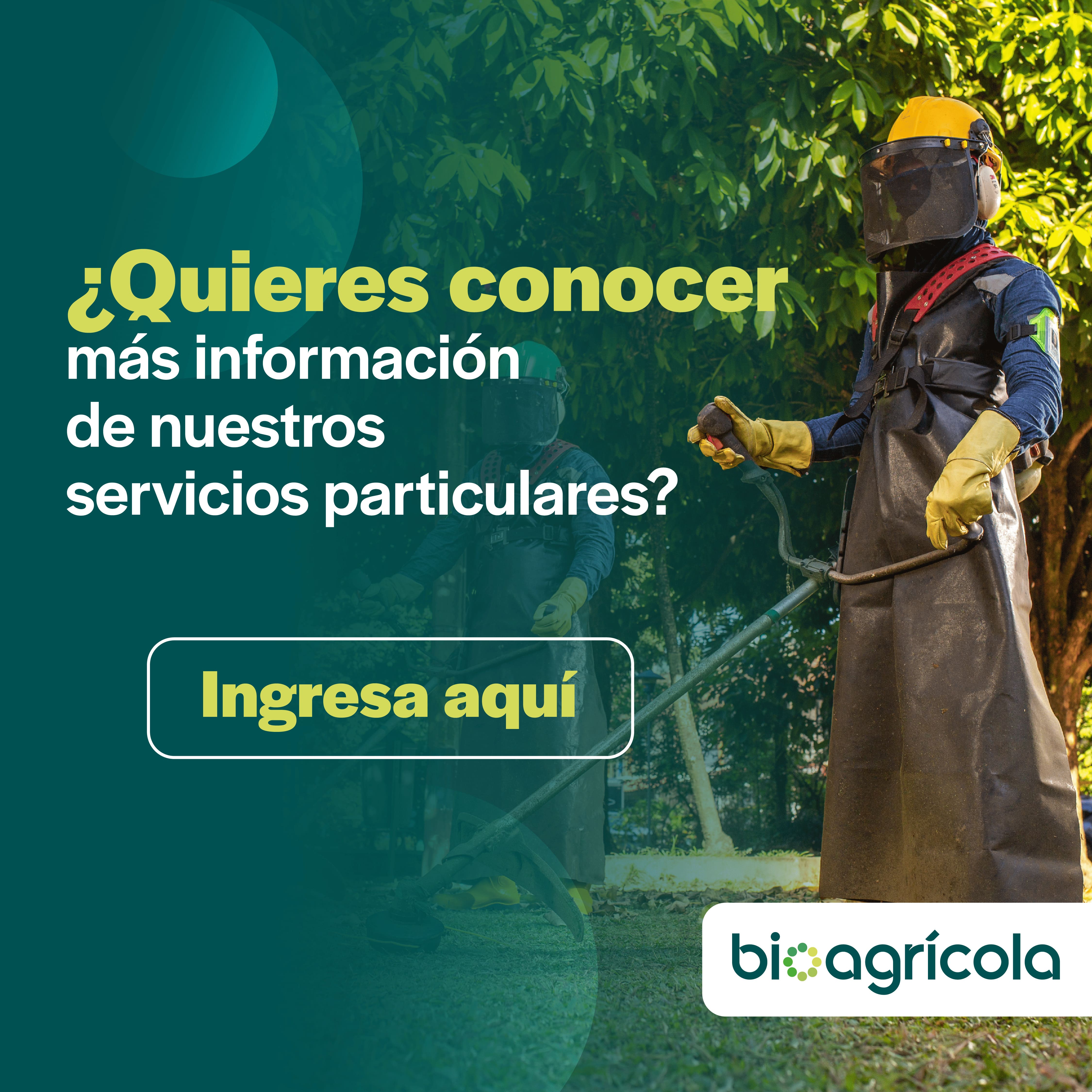 Imagen modal